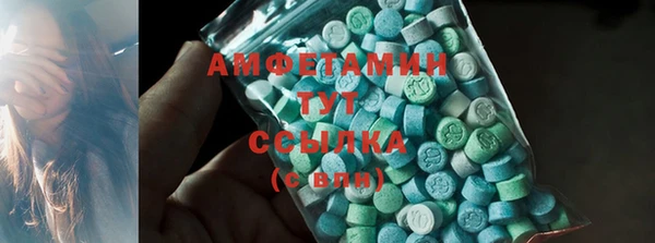 стаф Богданович
