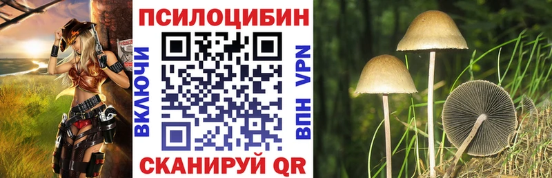 Купить закладки  Губкинский  Псилоцибиновые грибы Magic Shrooms 